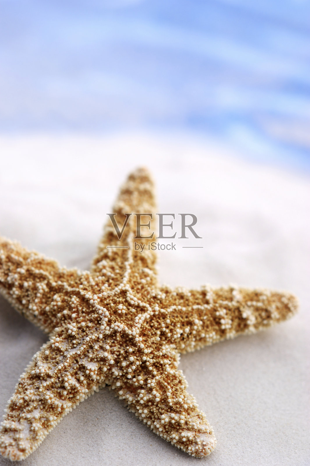 在海滩上照片摄影图片