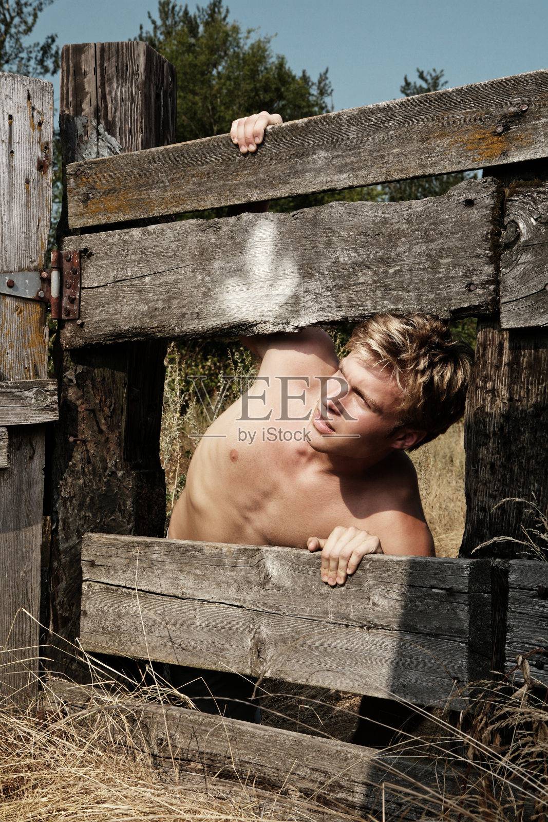 赤裸上身的年轻人爬过篱笆照片摄影图片