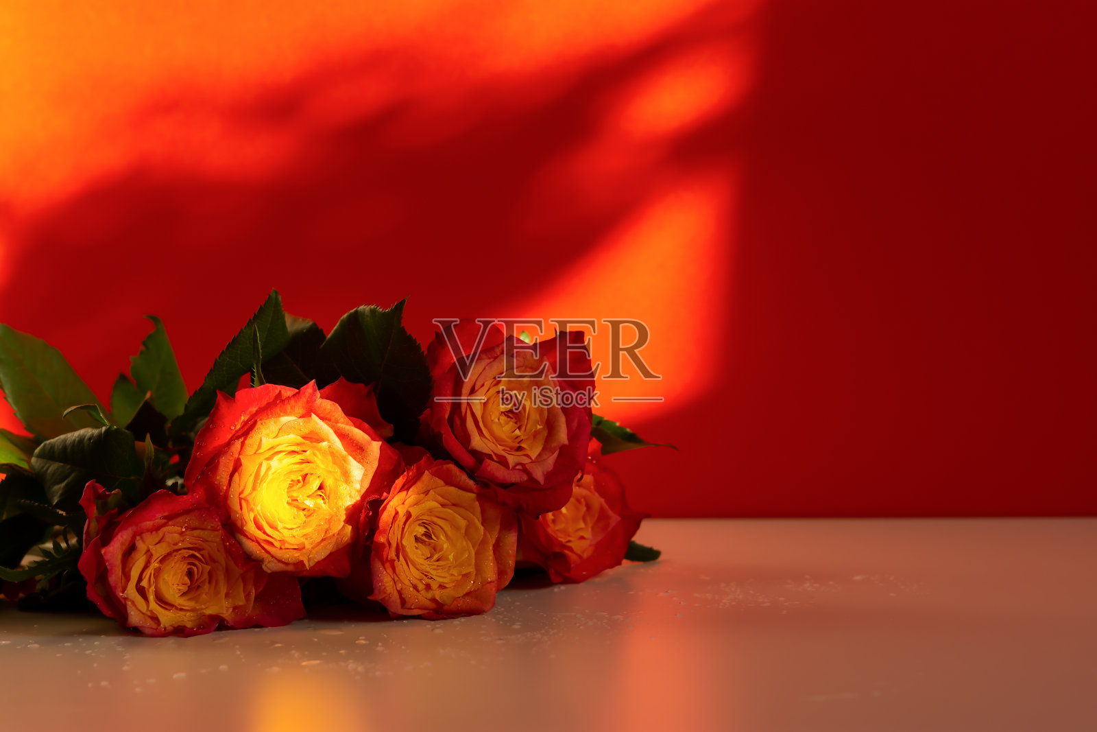 红色背景上的红玫瑰，顶部有心形图案照片摄影图片