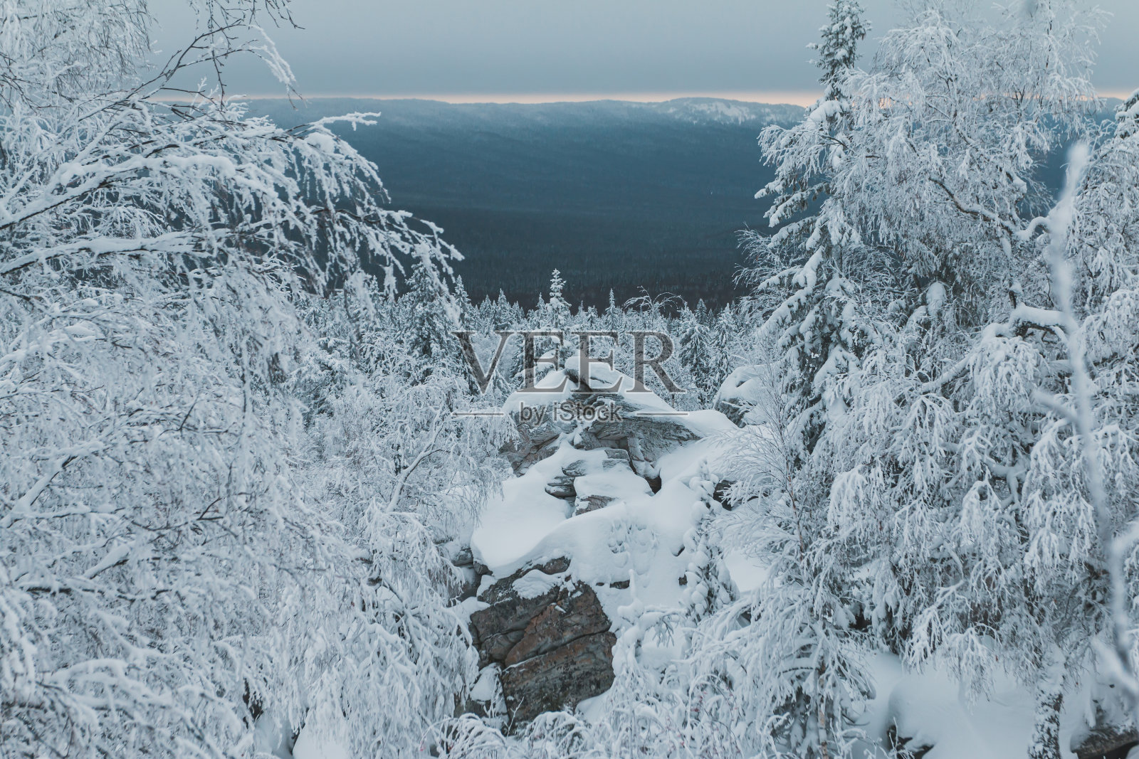 冰天雪地的针叶林和山脉照片摄影图片