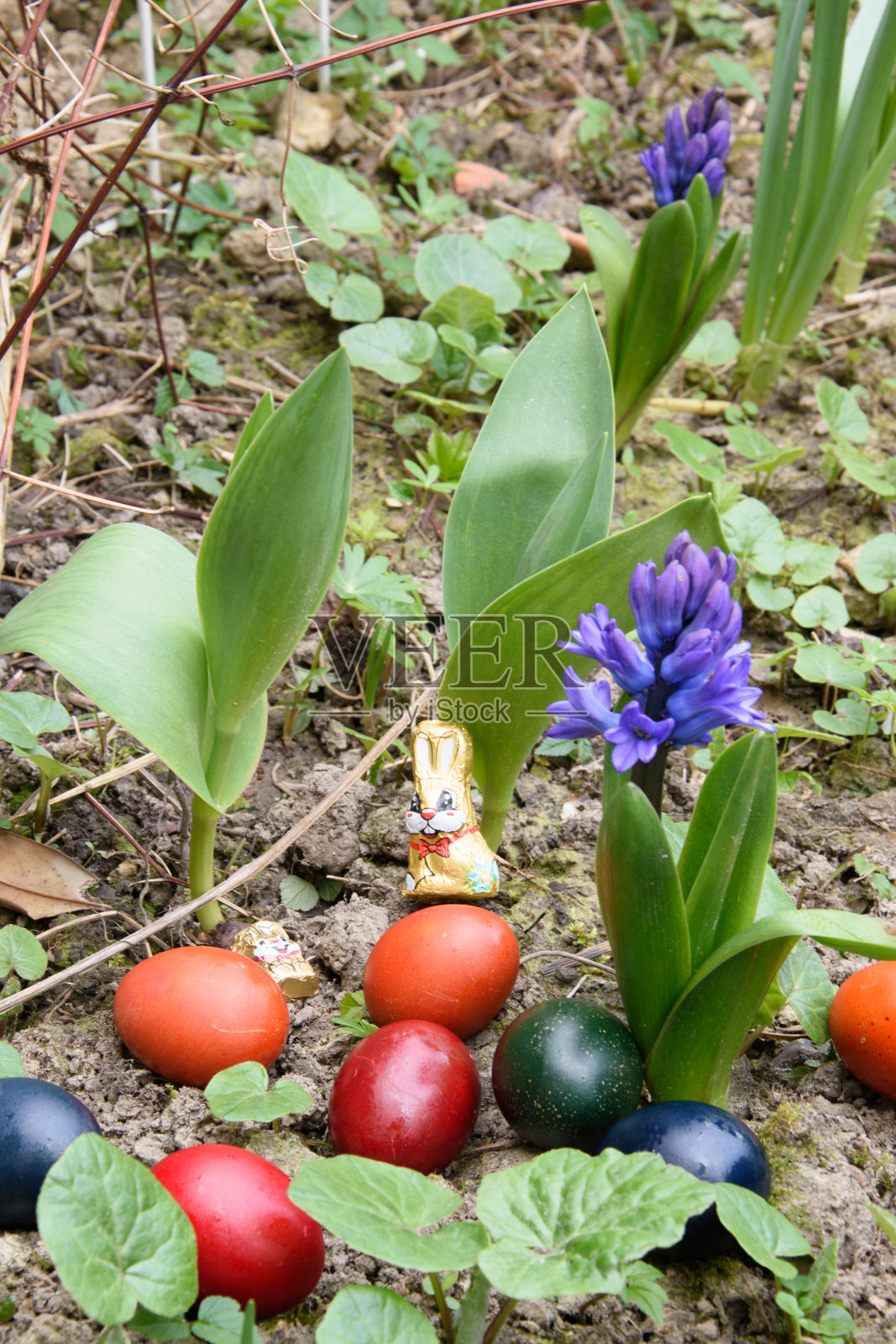五颜六色的复活节彩蛋旁边是盛开的风信子照片摄影图片