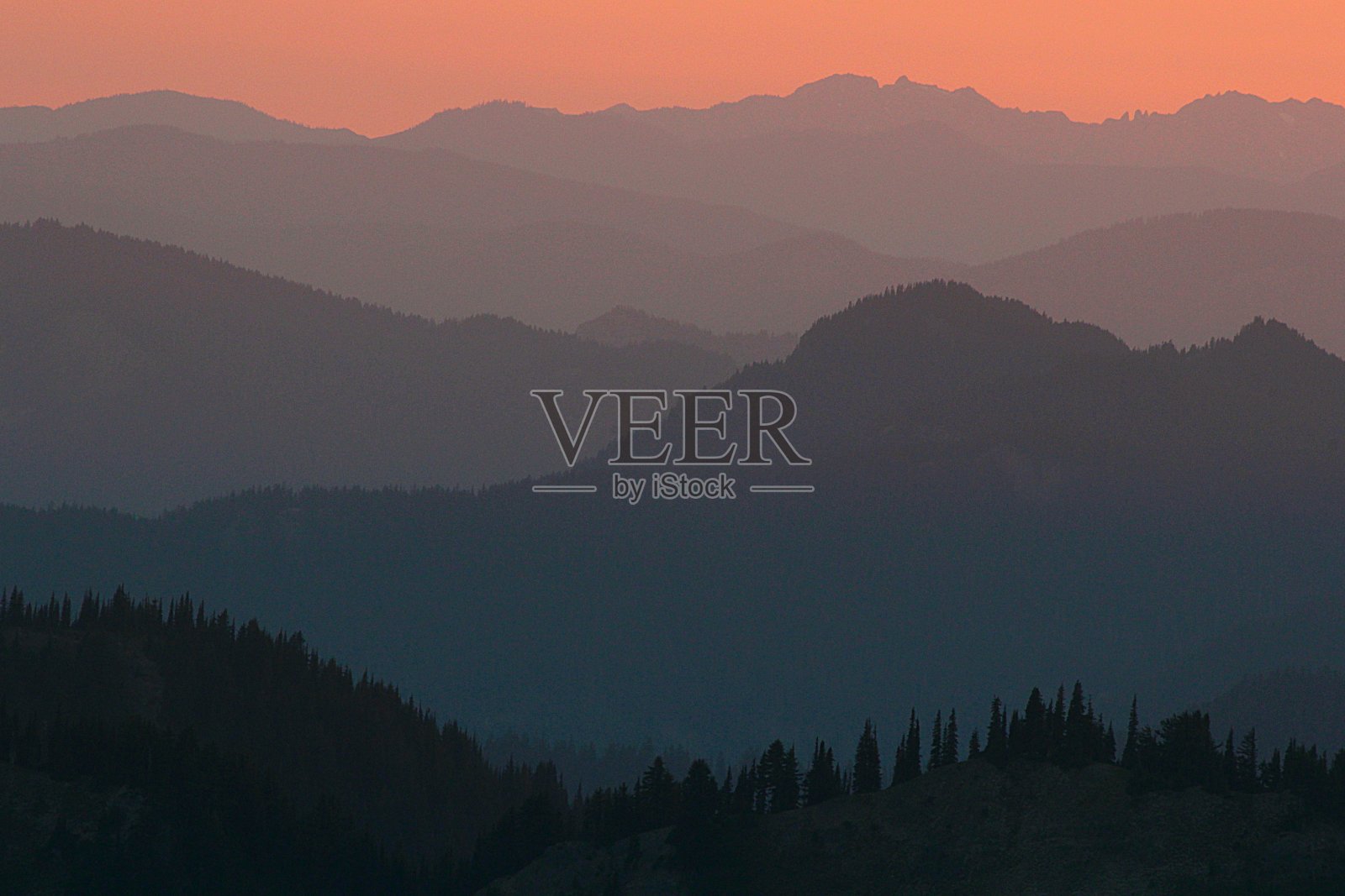 森林火灾烟雾照片摄影图片