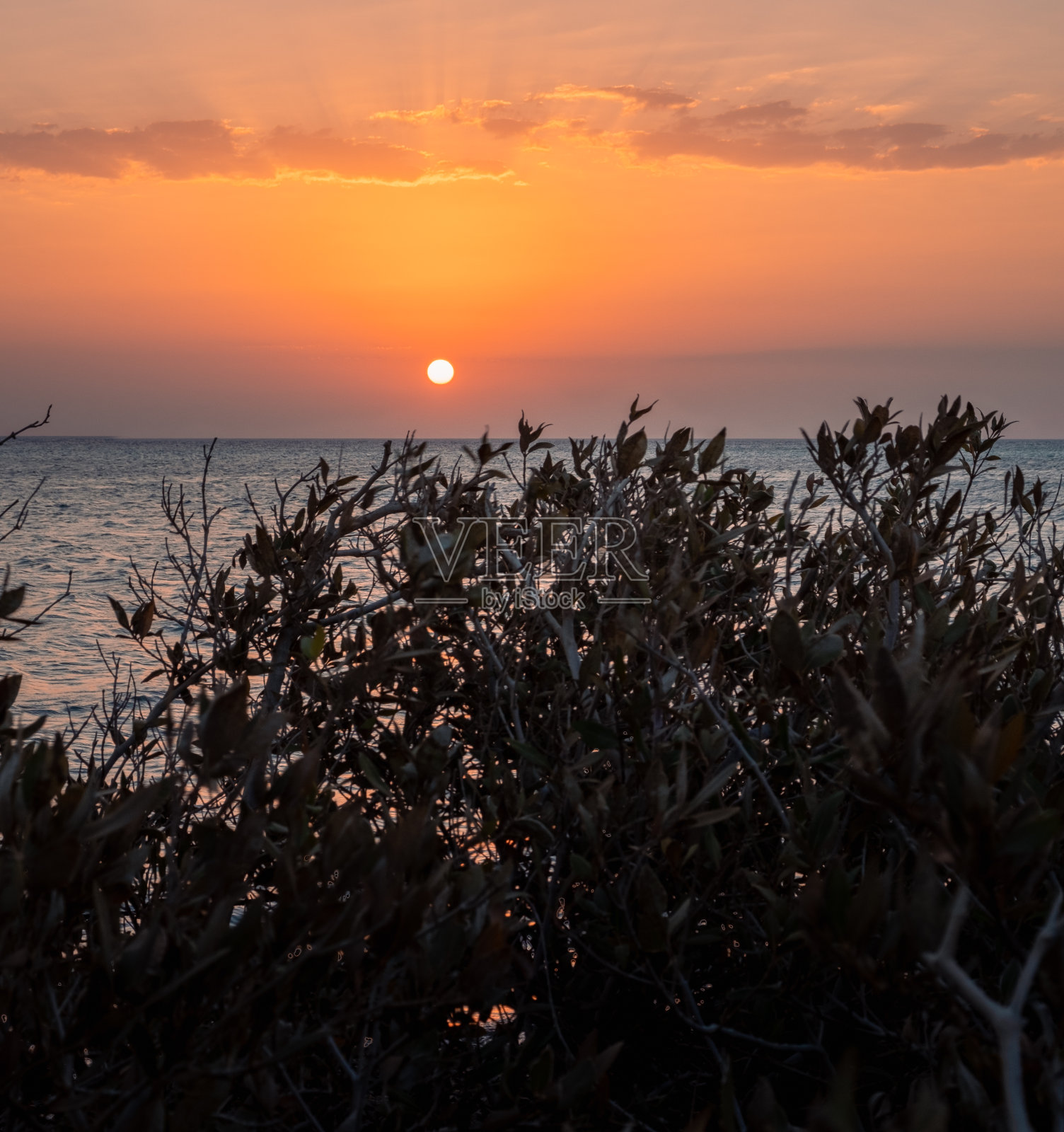 前景中的日出与剪影照片摄影图片