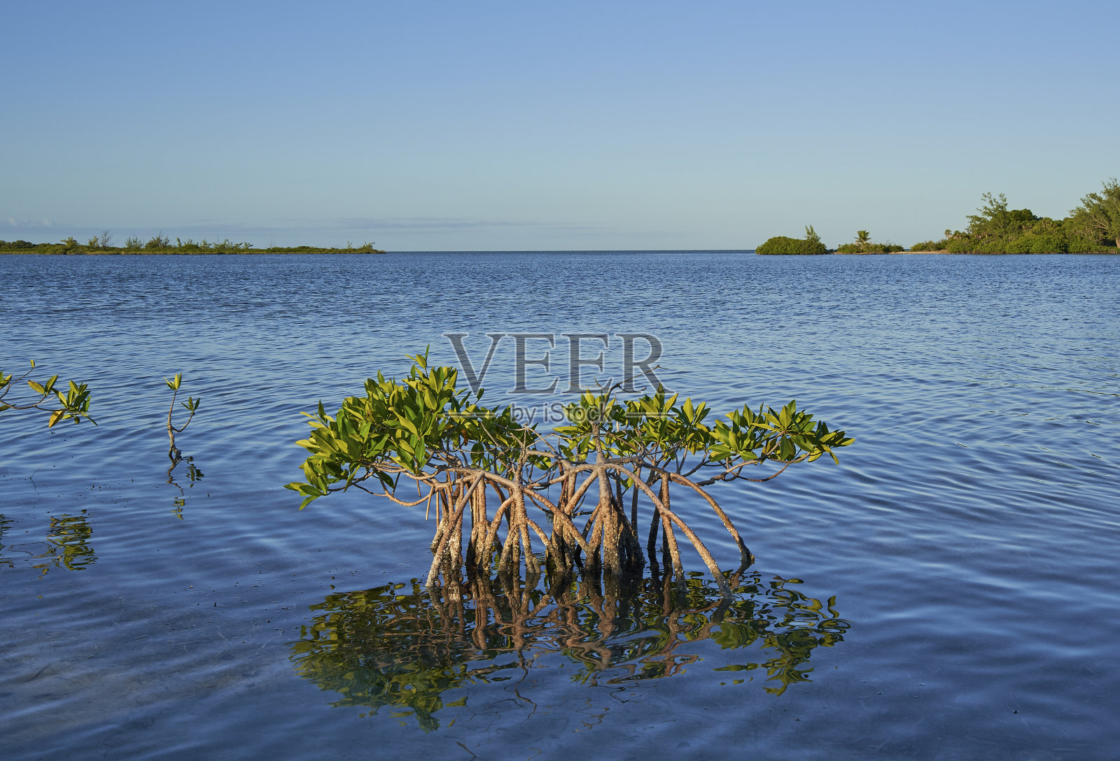 美丽的圣佩德罗岛，加勒比海国家伯利兹照片摄影图片