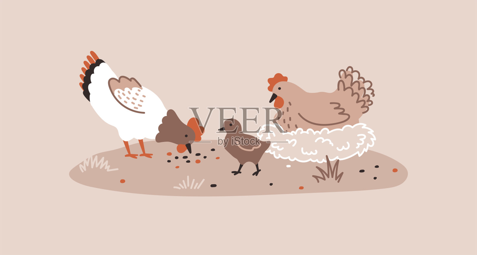 白色的母鸡啄食谷粒，米色的母鸡坐在小鸡旁边的窝里。养鸡场。卡通。舒适的矢量插图。插画图片素材