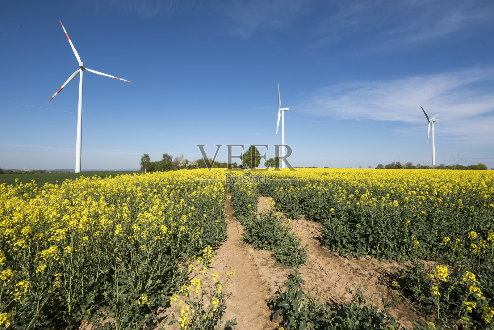 风能。照片摄影图片