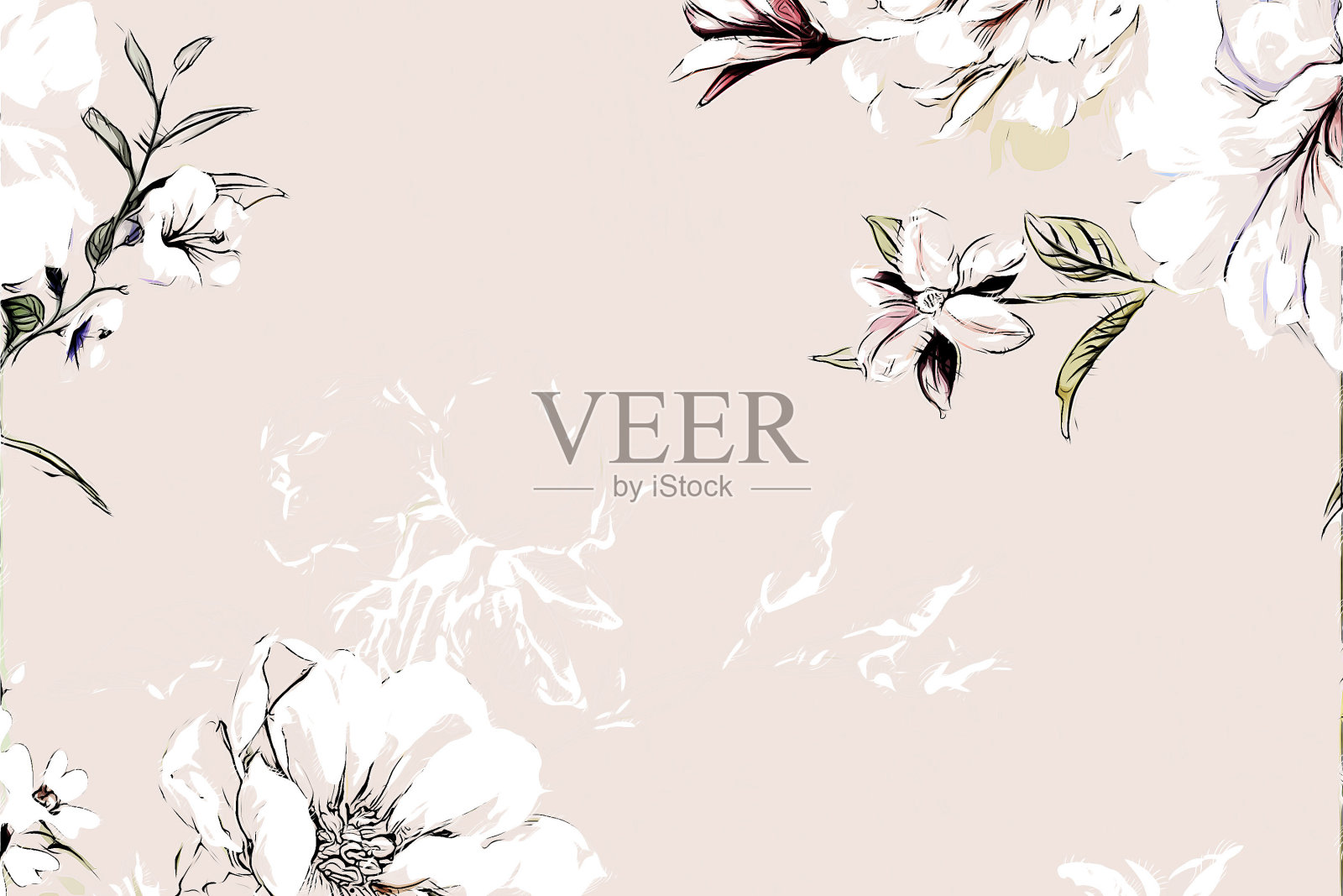 抽象玫瑰花牡丹花插图插画图片素材