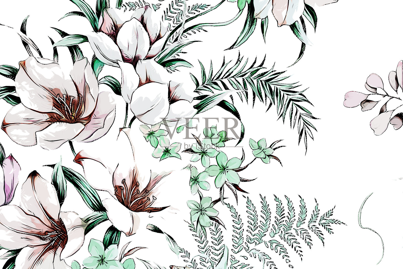 抽象玫瑰花牡丹花插图插画图片素材