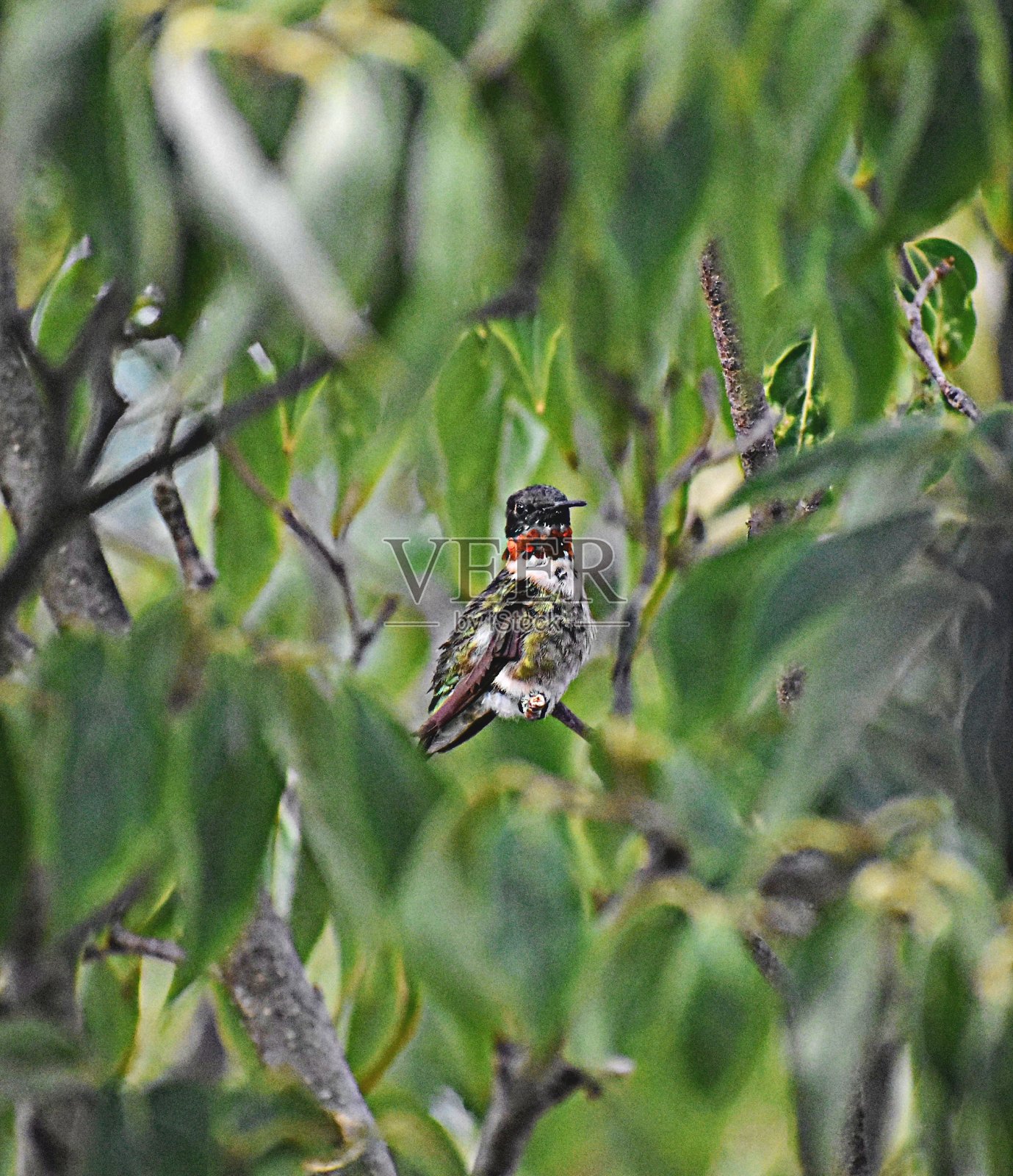 注意照片摄影图片