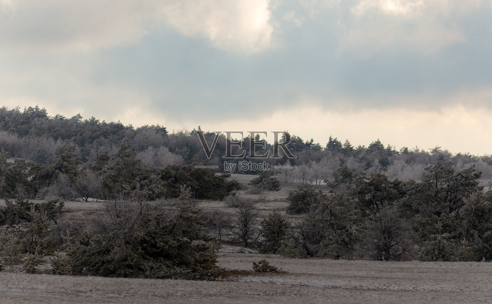 山上有春雪照片摄影图片