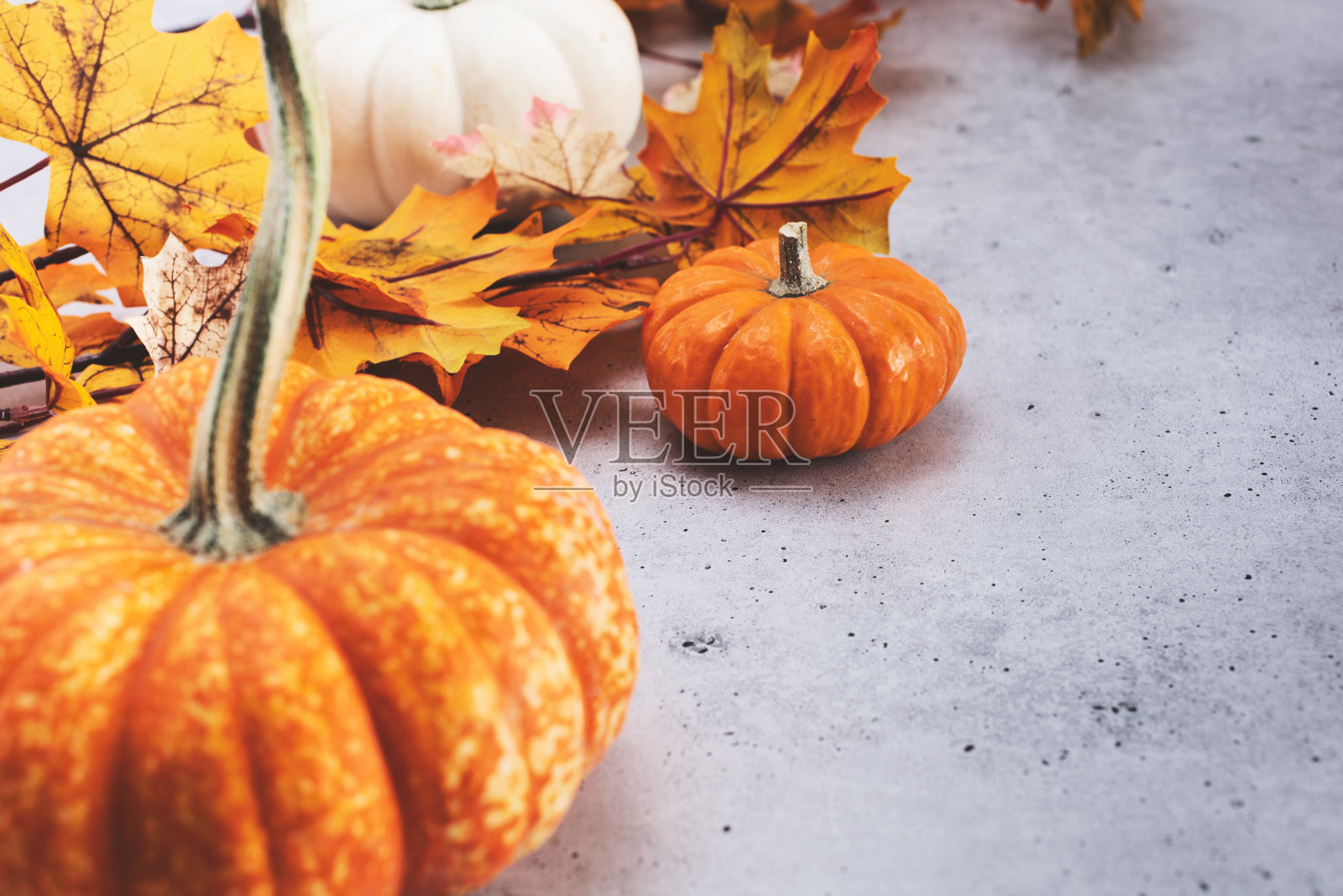 左边的小南瓜照片摄影图片