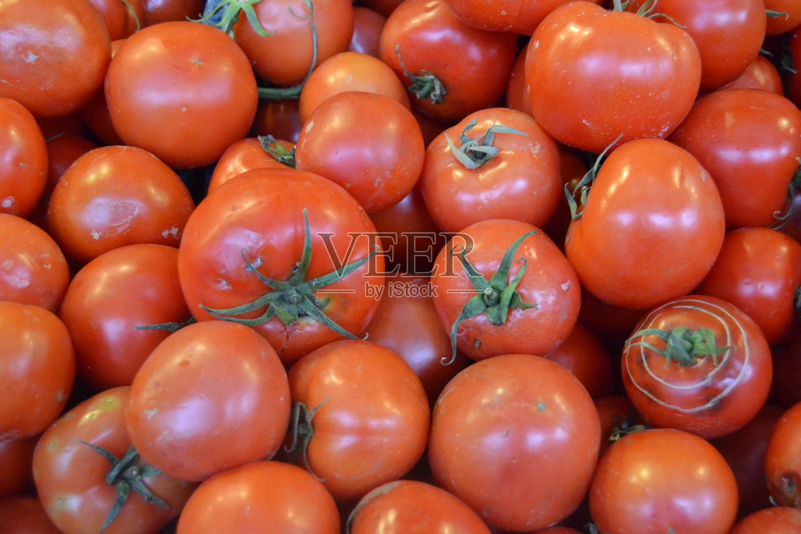 红番茄排成一排待售照片摄影图片