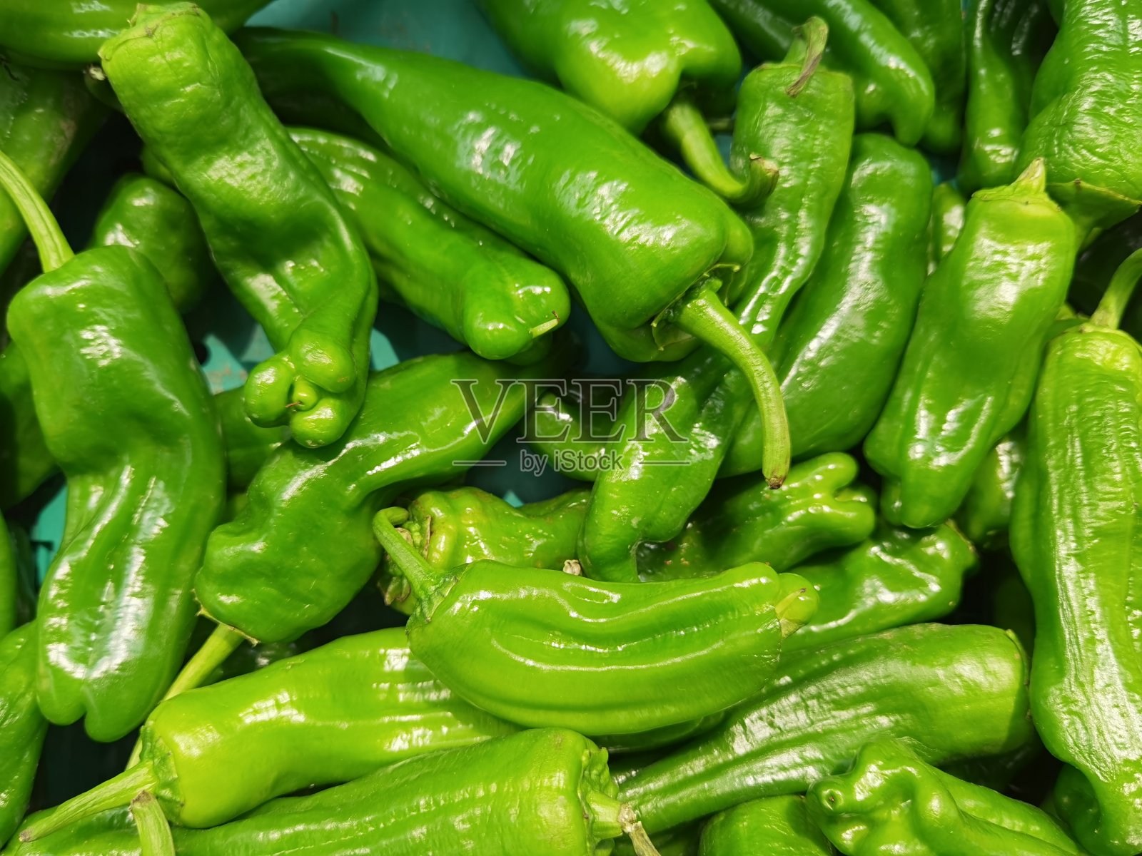 黄椒排成一排出售照片摄影图片