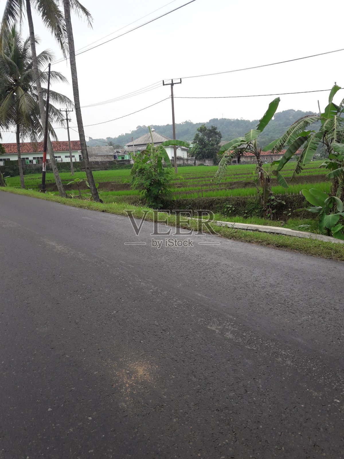 路照片摄影图片