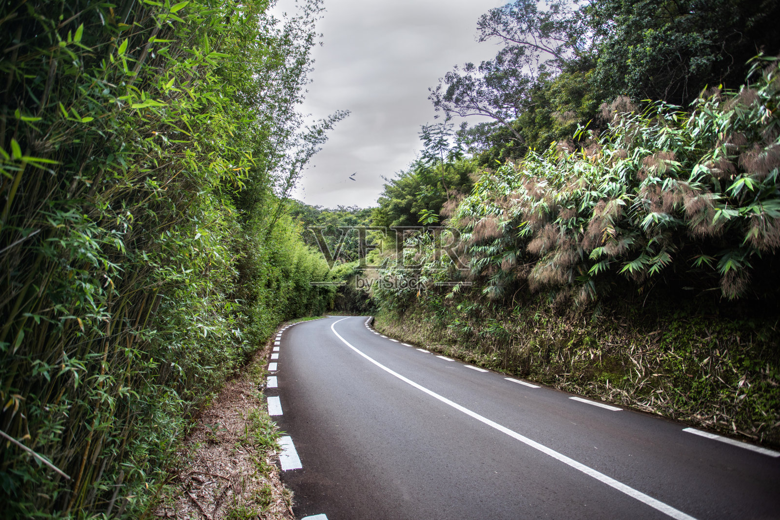 自然、风景优美的道路、海洋、悬崖、灯塔和冲浪照片摄影图片