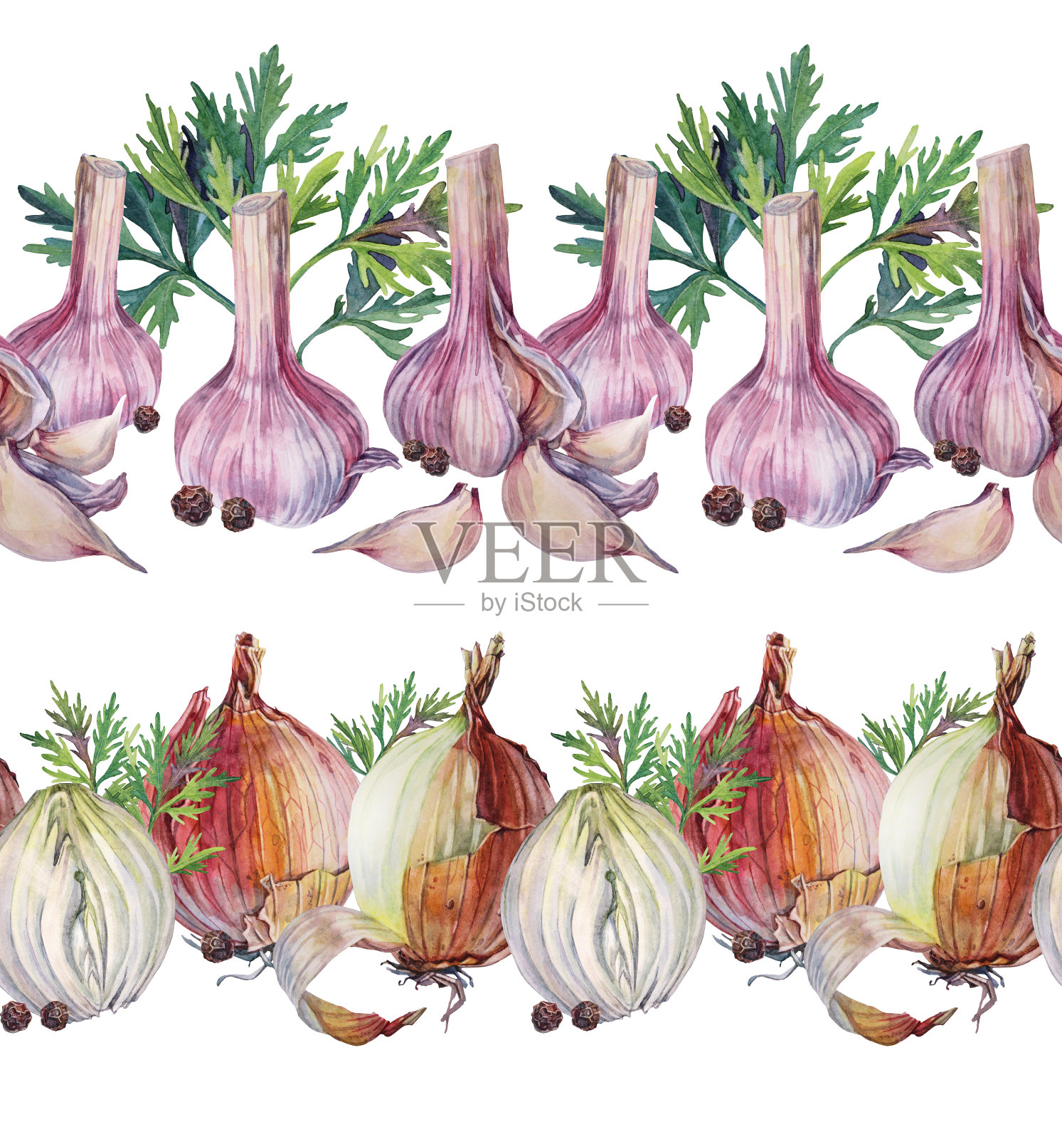 设置无缝边界水彩剥皮大蒜和洋葱孤立在白色背景。黑胡椒和绿叶小茴香。手绘丁香辣味调味品调味品蔬菜。艺术风味食品插画图片素材