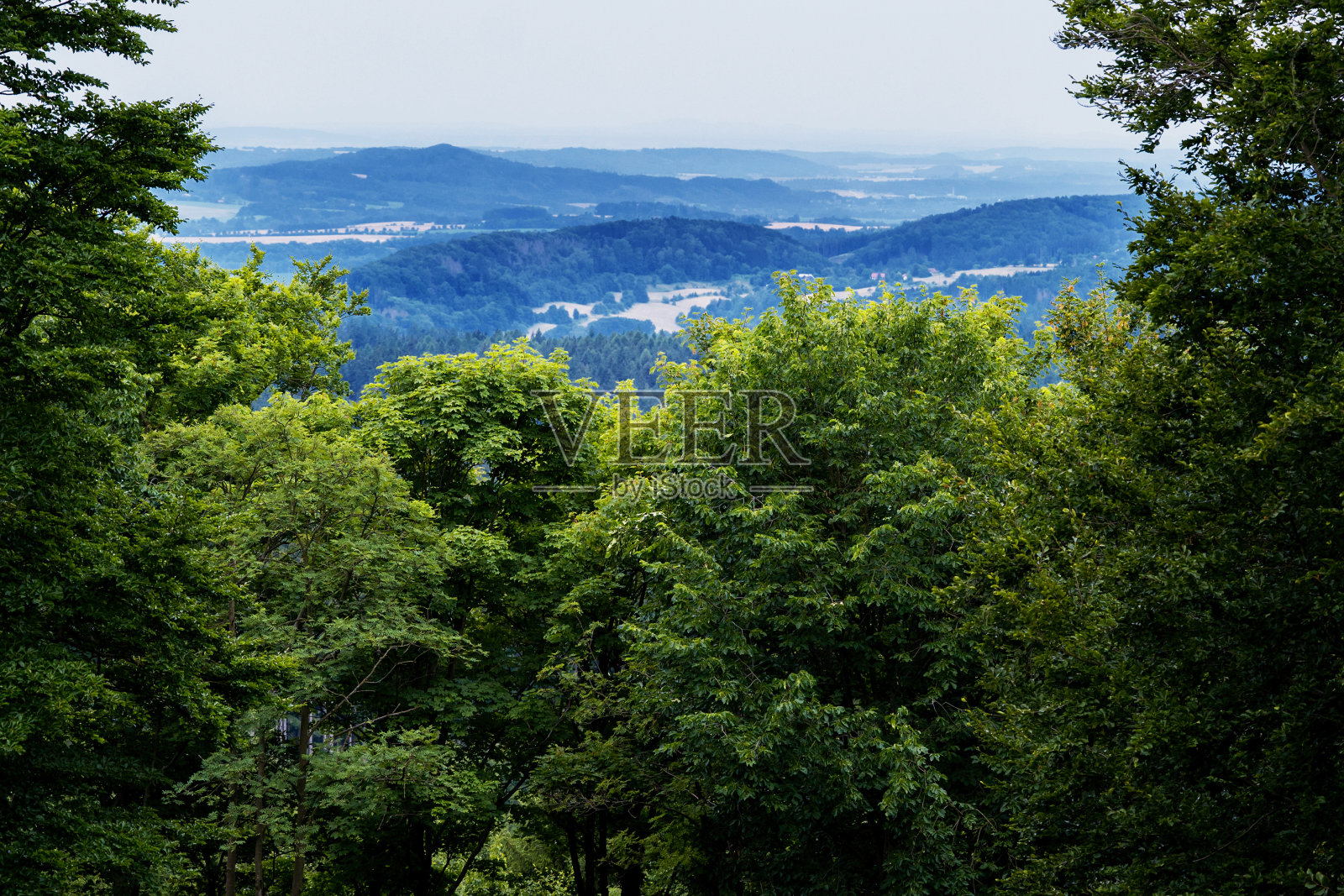 翠绿的树冠和蓝山的捷克天堂在地平线上，从城堡Kumburk。照片摄影图片