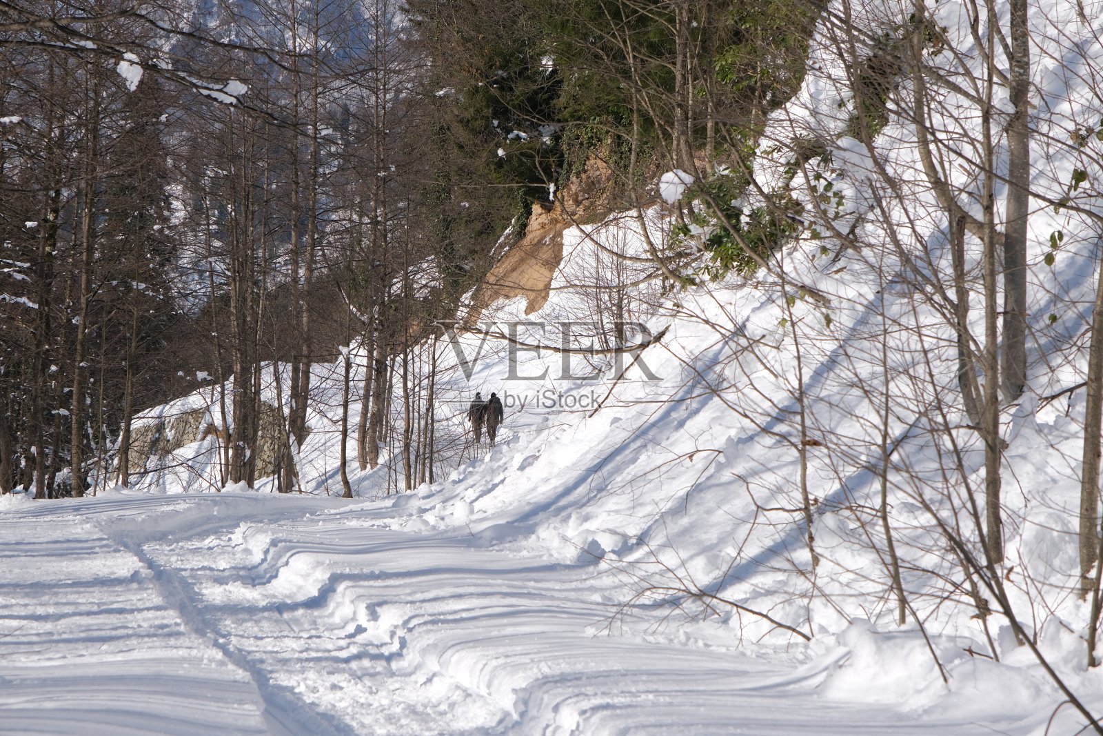 小路在雪地上，两个人在雪地上走远照片摄影图片