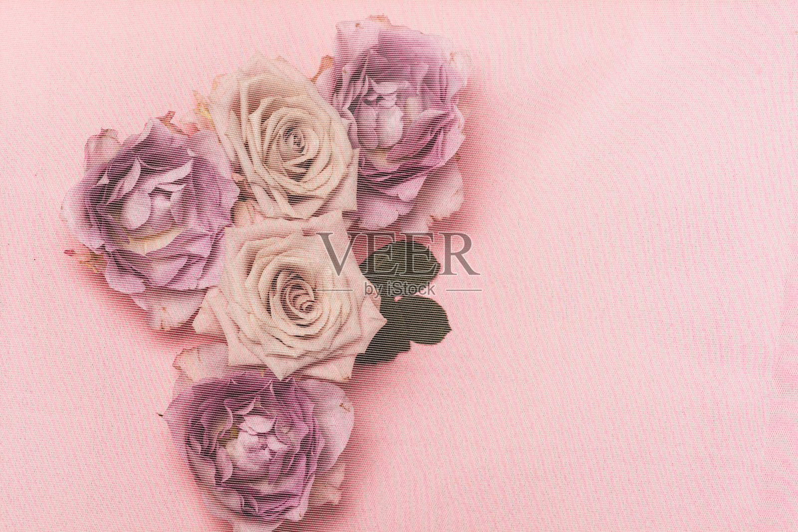 一束用网布覆盖着的美丽的鲜花。照片摄影图片