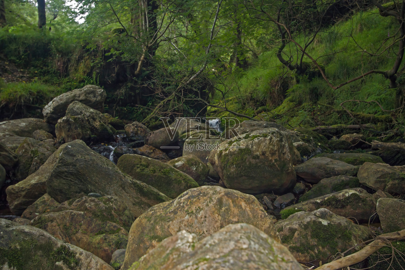 爱尔兰都柏林郡的威克洛山国家公园，照片摄影图片