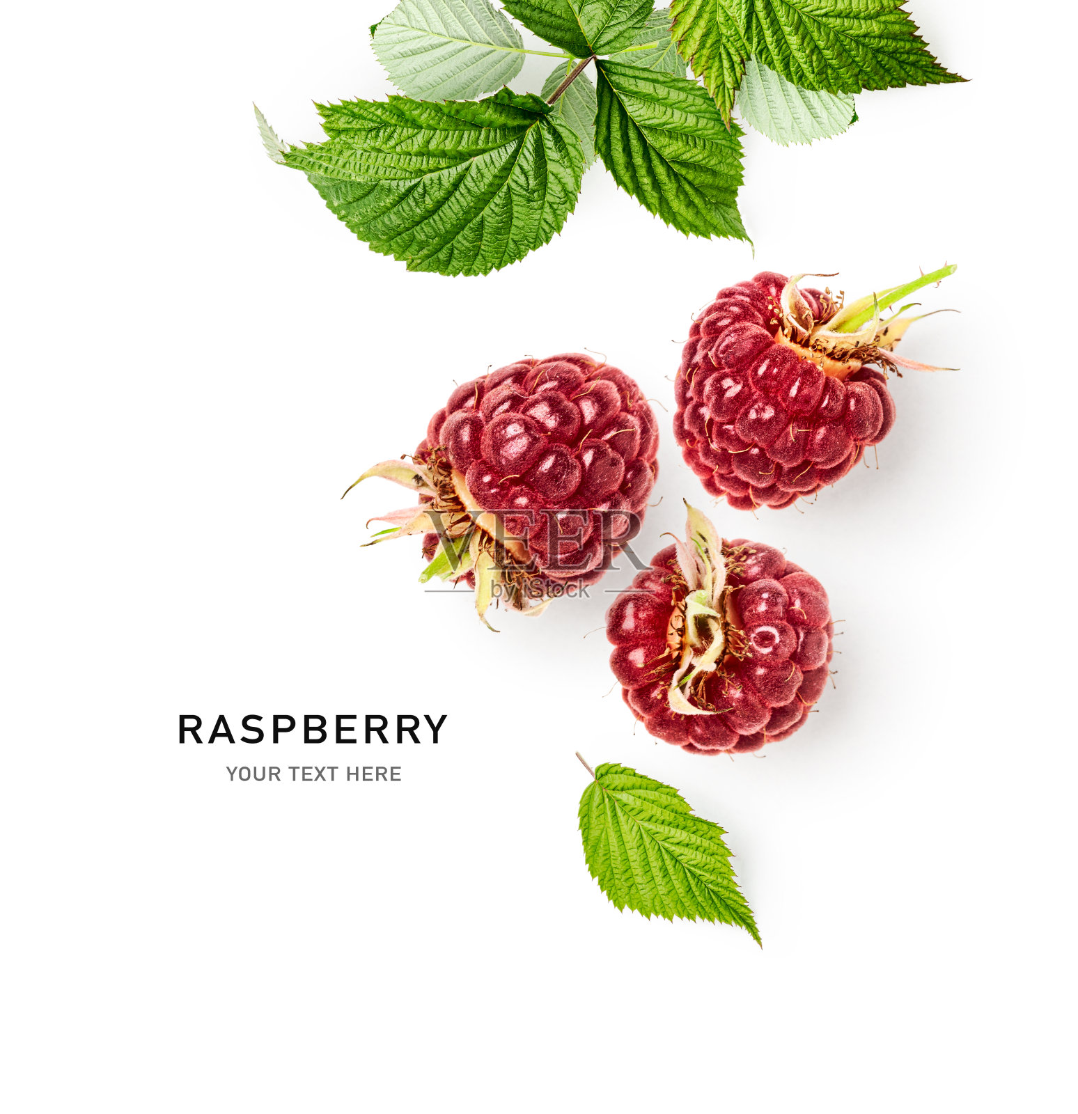 树莓浆果创意布局照片摄影图片