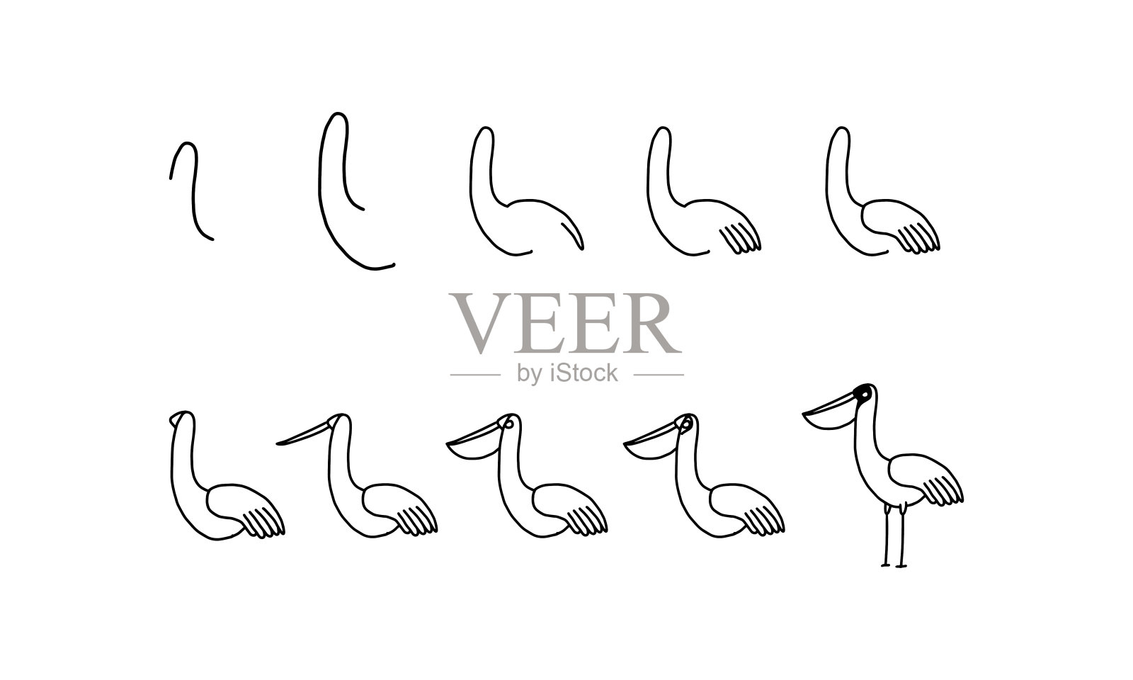 一只可爱的小鸟。插画图片素材