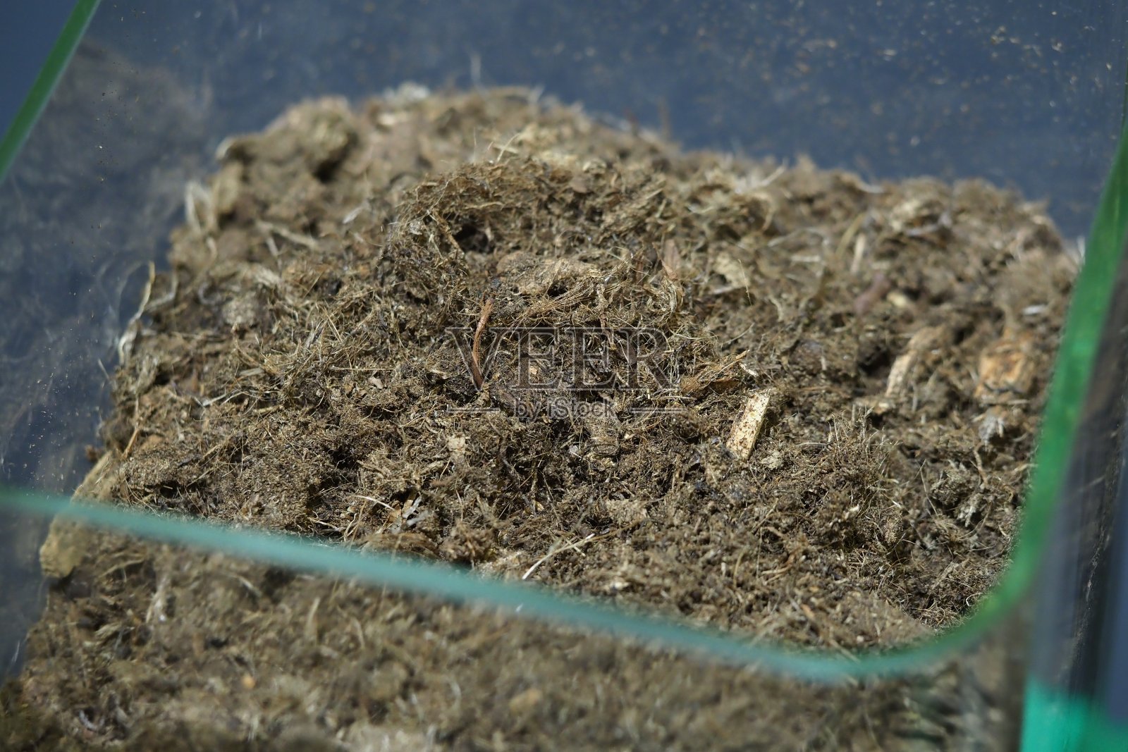 用于种植植物的泥炭土壤照片摄影图片