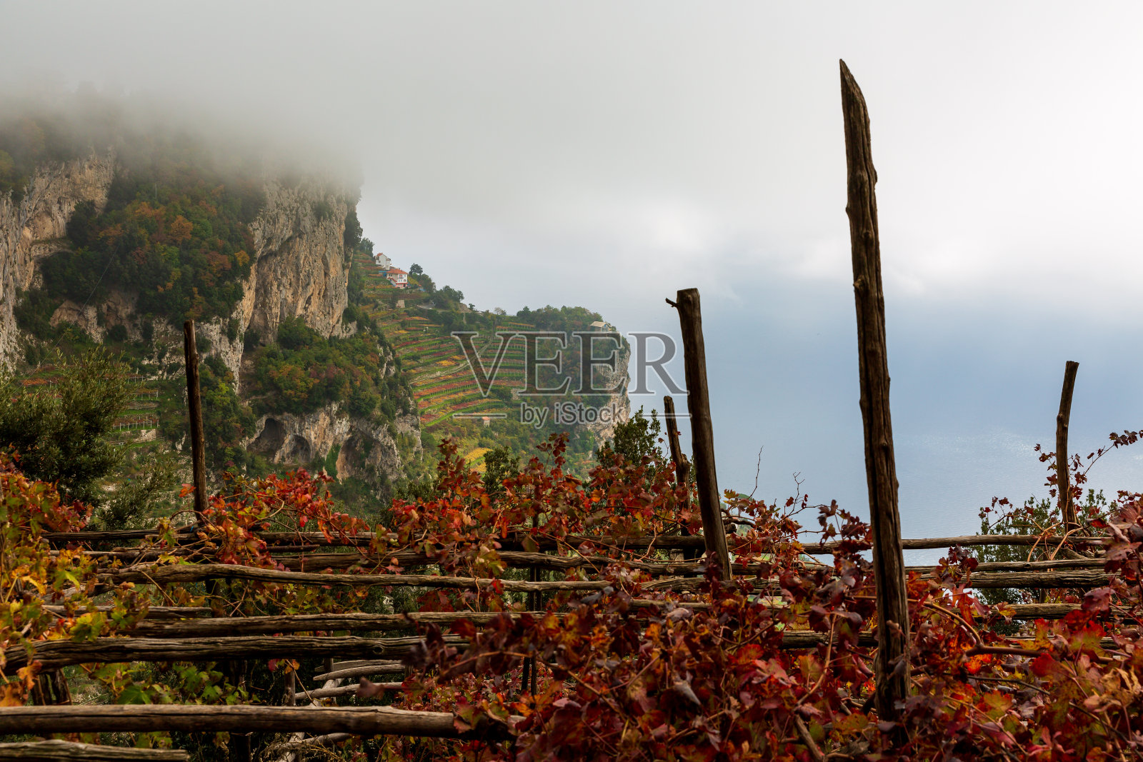 艾文照片摄影图片