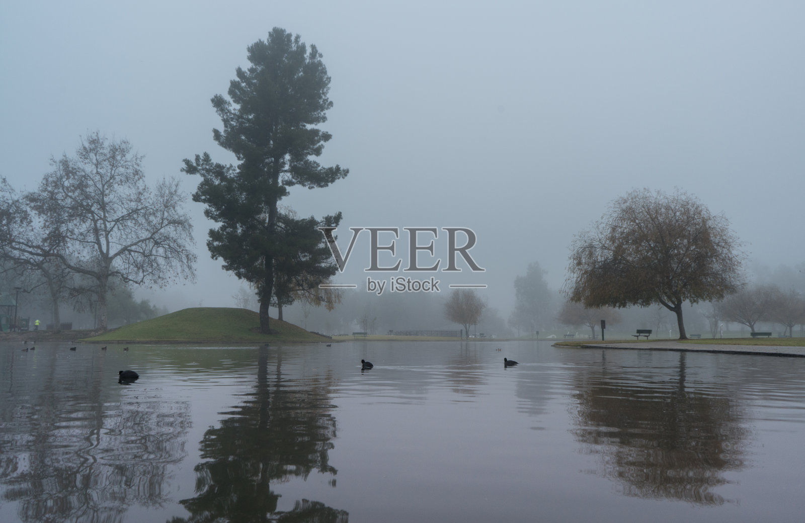 草图。照片摄影图片