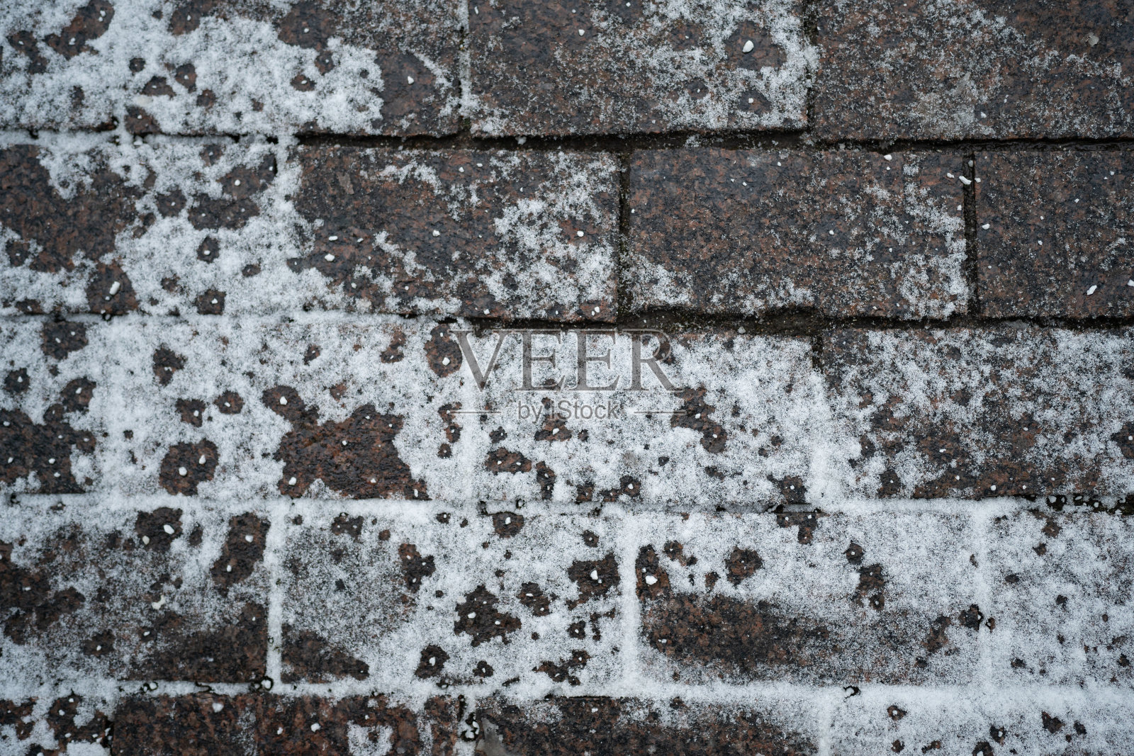 特写技术盐颗粒在结冰的人行道表面在冬季，用于融化冰雪。照片摄影图片