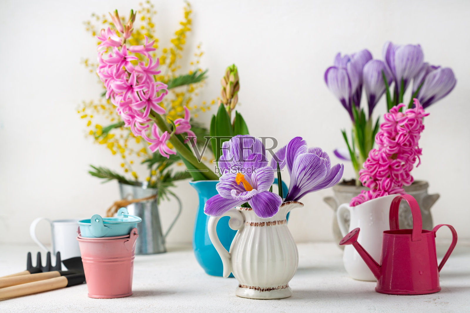 春天用不同的花卉和园林工具组成照片摄影图片