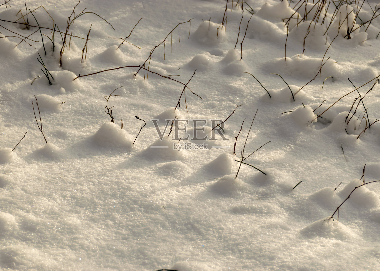 抽象雪的纹理，雪和冻草，雪上的阴影照片摄影图片