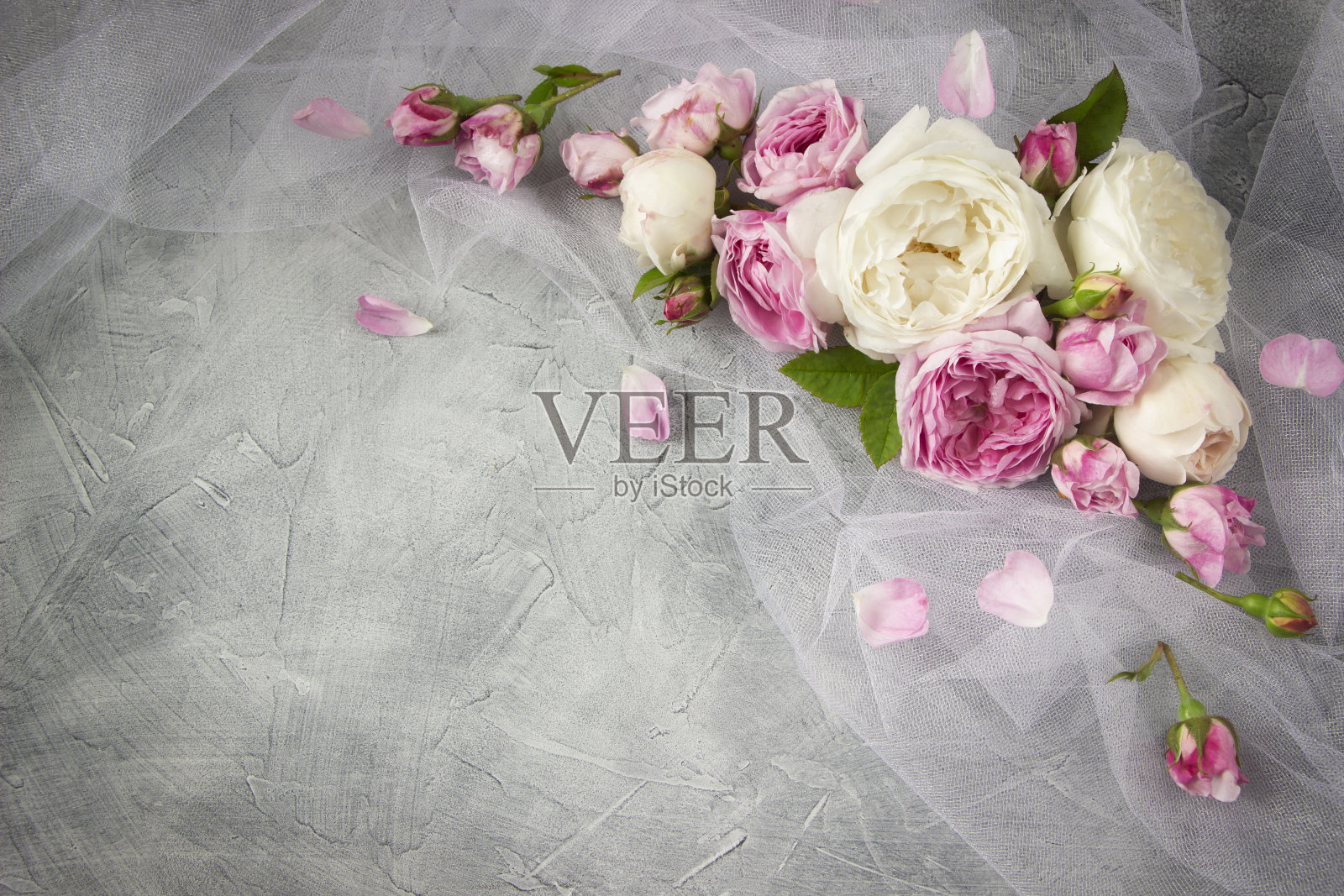 新娘面纱上的粉色和白色玫瑰，灰色混凝土背景。婚礼邀请的复古模板，生日，3月8日，妇女节，母亲节，情人节。空间的文本照片摄影图片