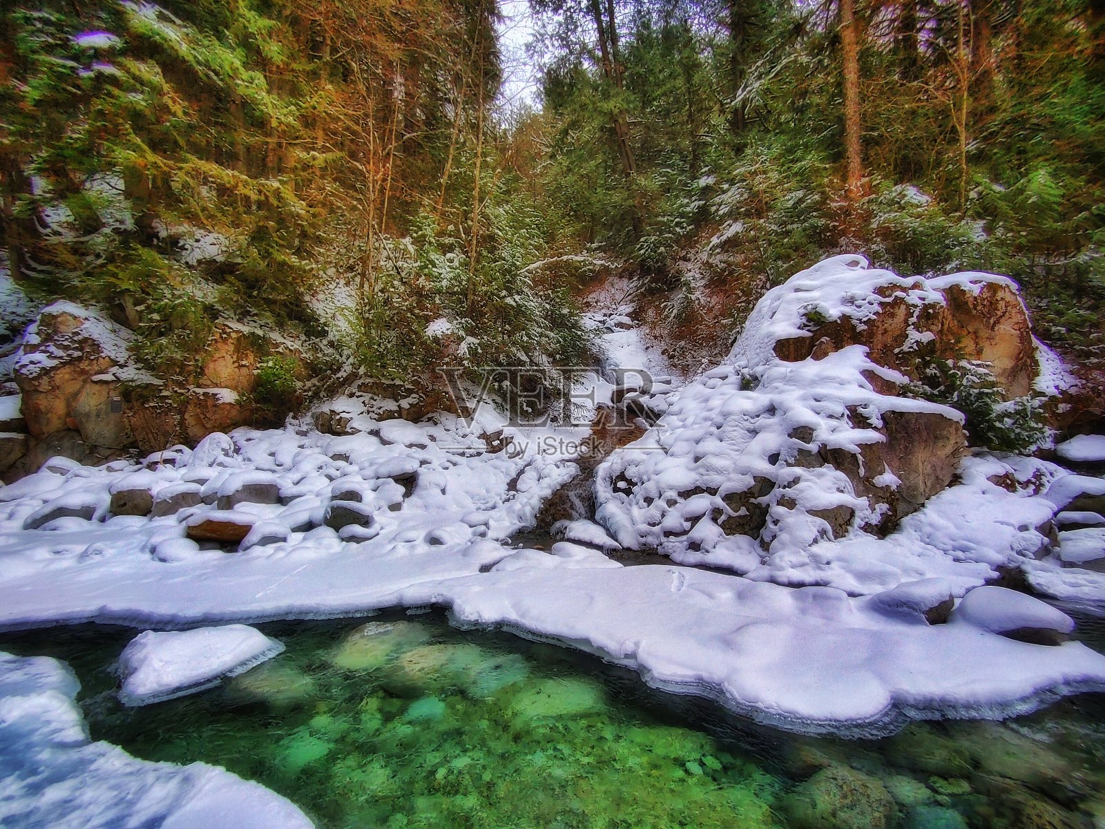 冻照片摄影图片