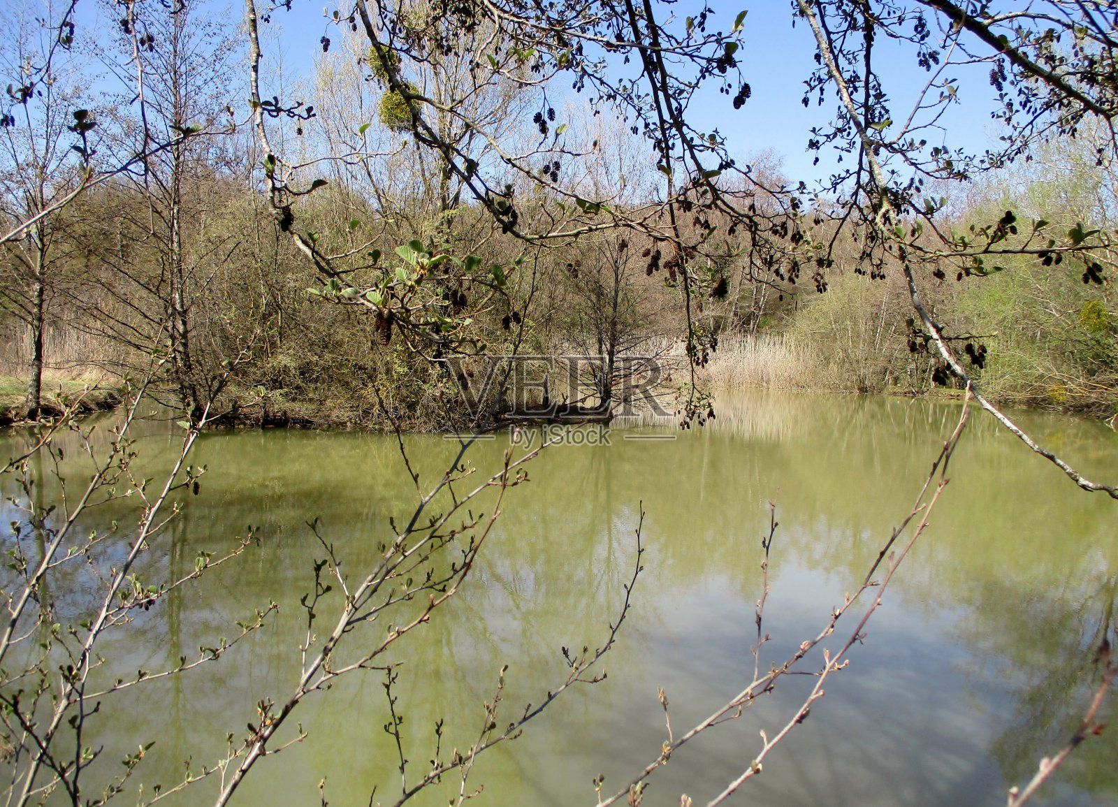 荒野照片摄影图片