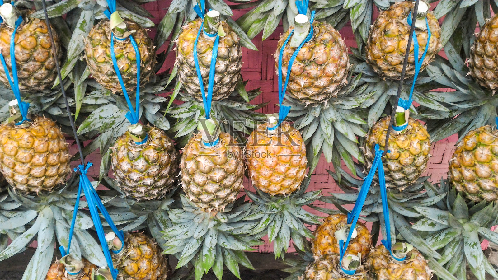 菠萝果，西爪哇，印度尼西亚照片摄影图片