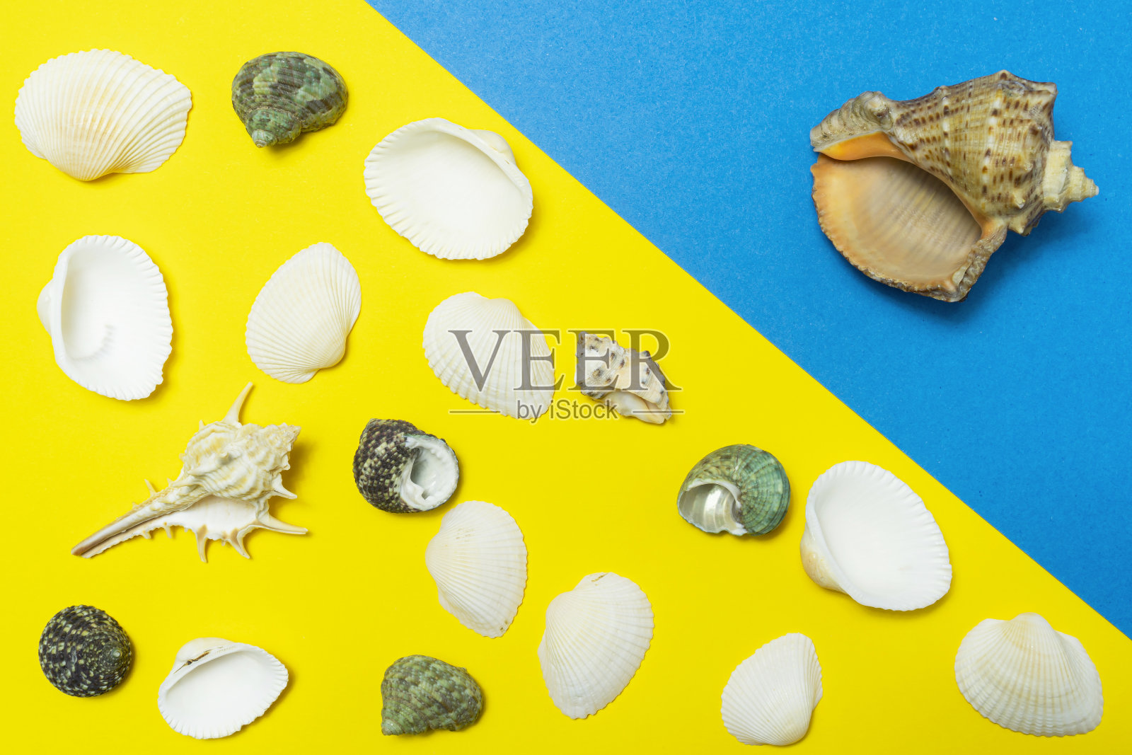 在明亮的黄色和蓝色背景上的贝壳抽象图案。照片摄影图片