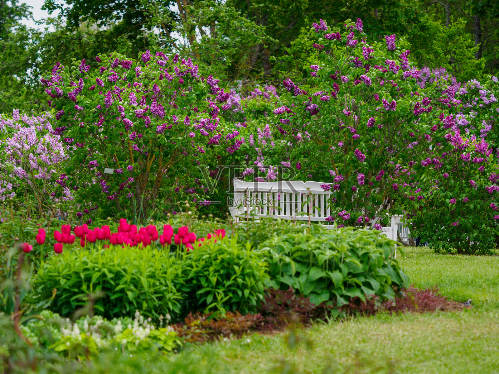 Dobele花园照片摄影图片