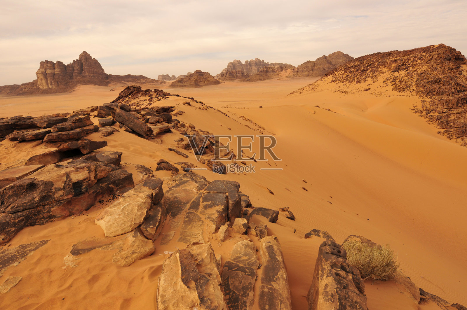 理查德·马丁·维达尔照片摄影图片