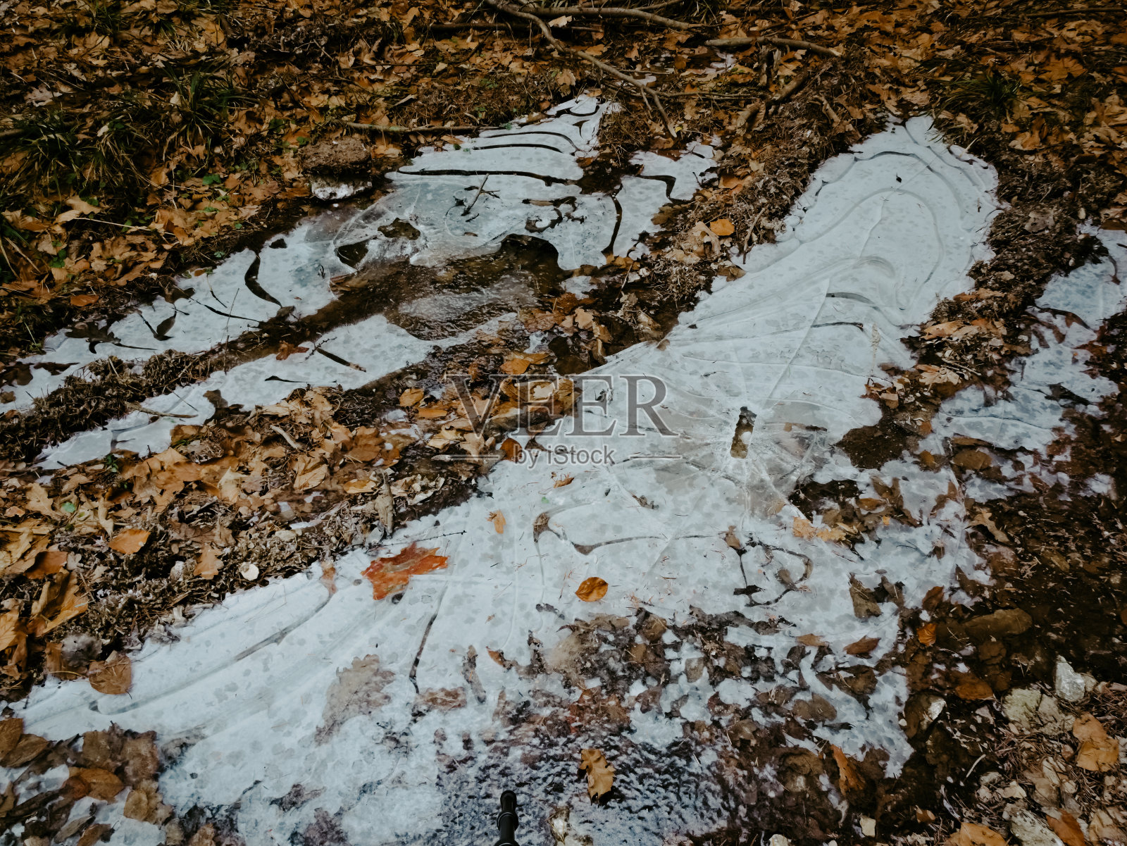 森林中央的泥路上结了冰的水坑照片摄影图片
