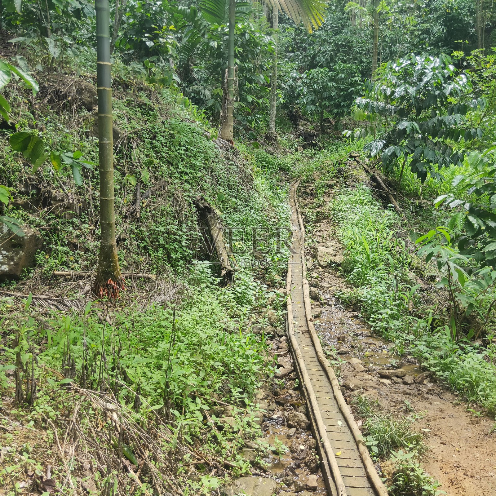 木材街照片摄影图片