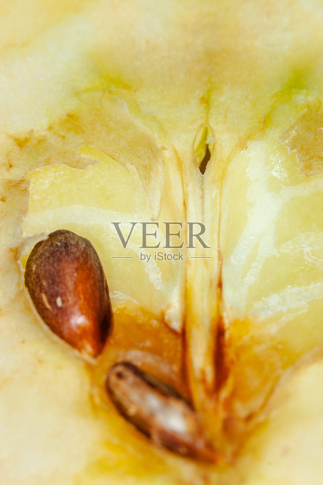 花照片摄影图片