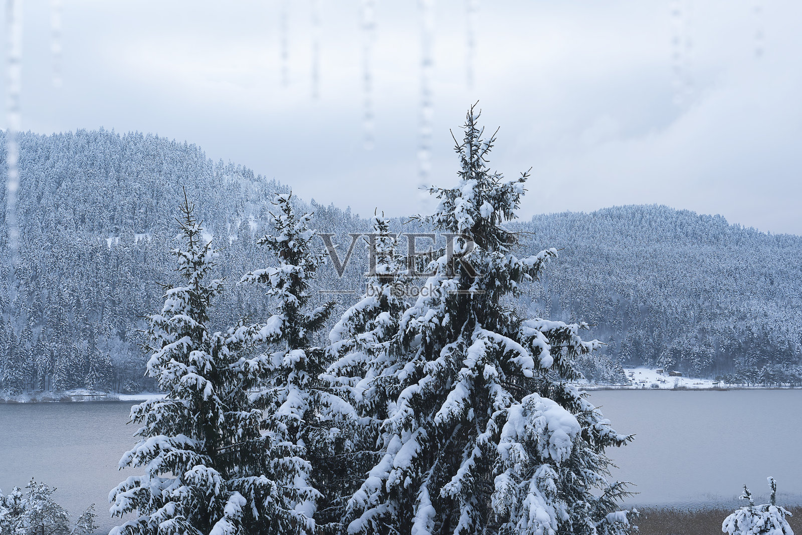 冰湖在雪山森林照片摄影图片