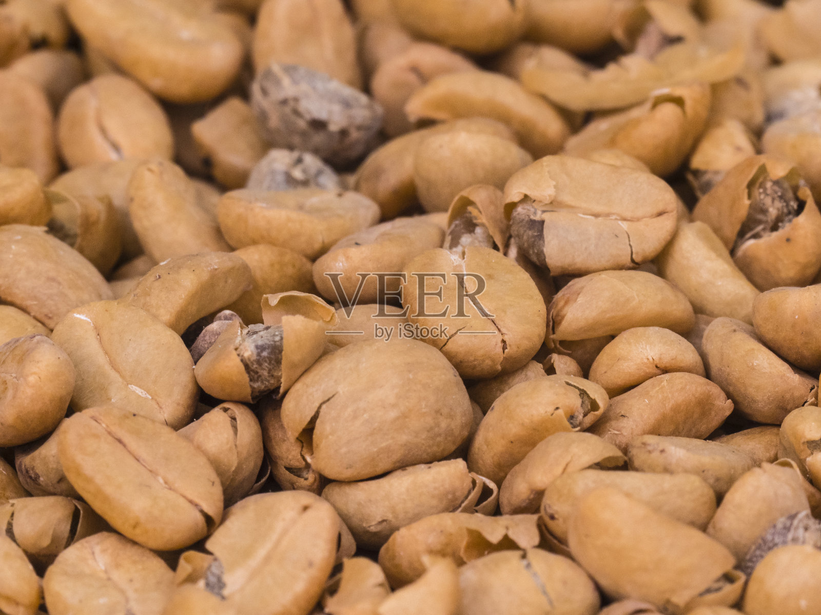 晒干的咖啡豆照片摄影图片