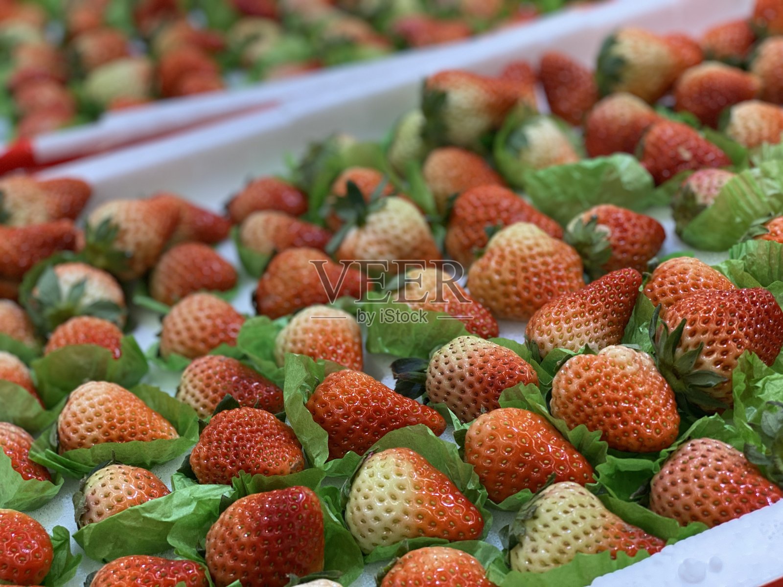 有机食品:草莓照片摄影图片