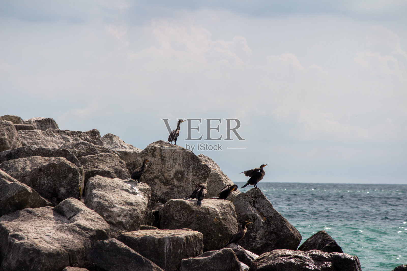 安大略湖照片摄影图片