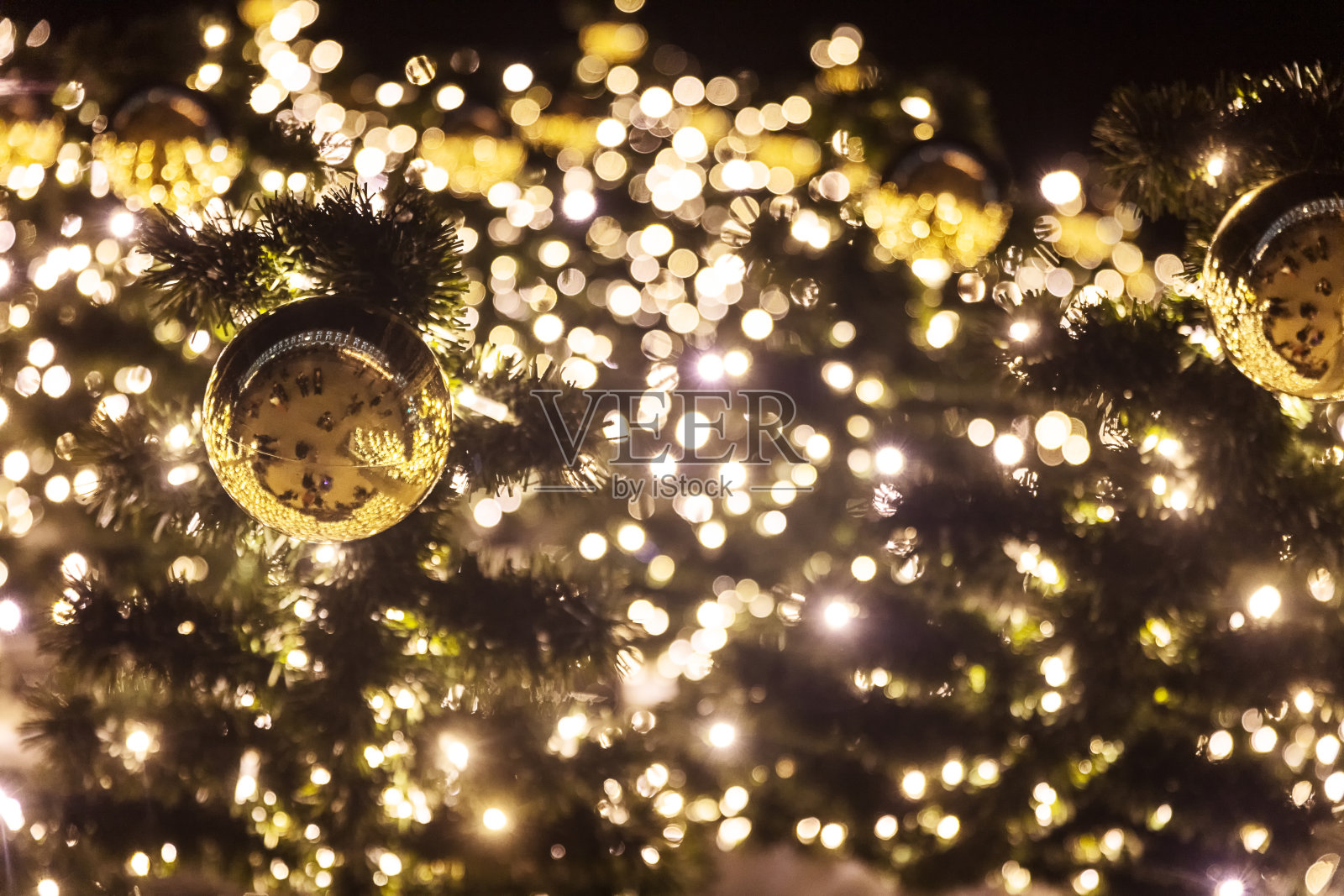 公园里的圣诞树，装饰着彩灯照片摄影图片