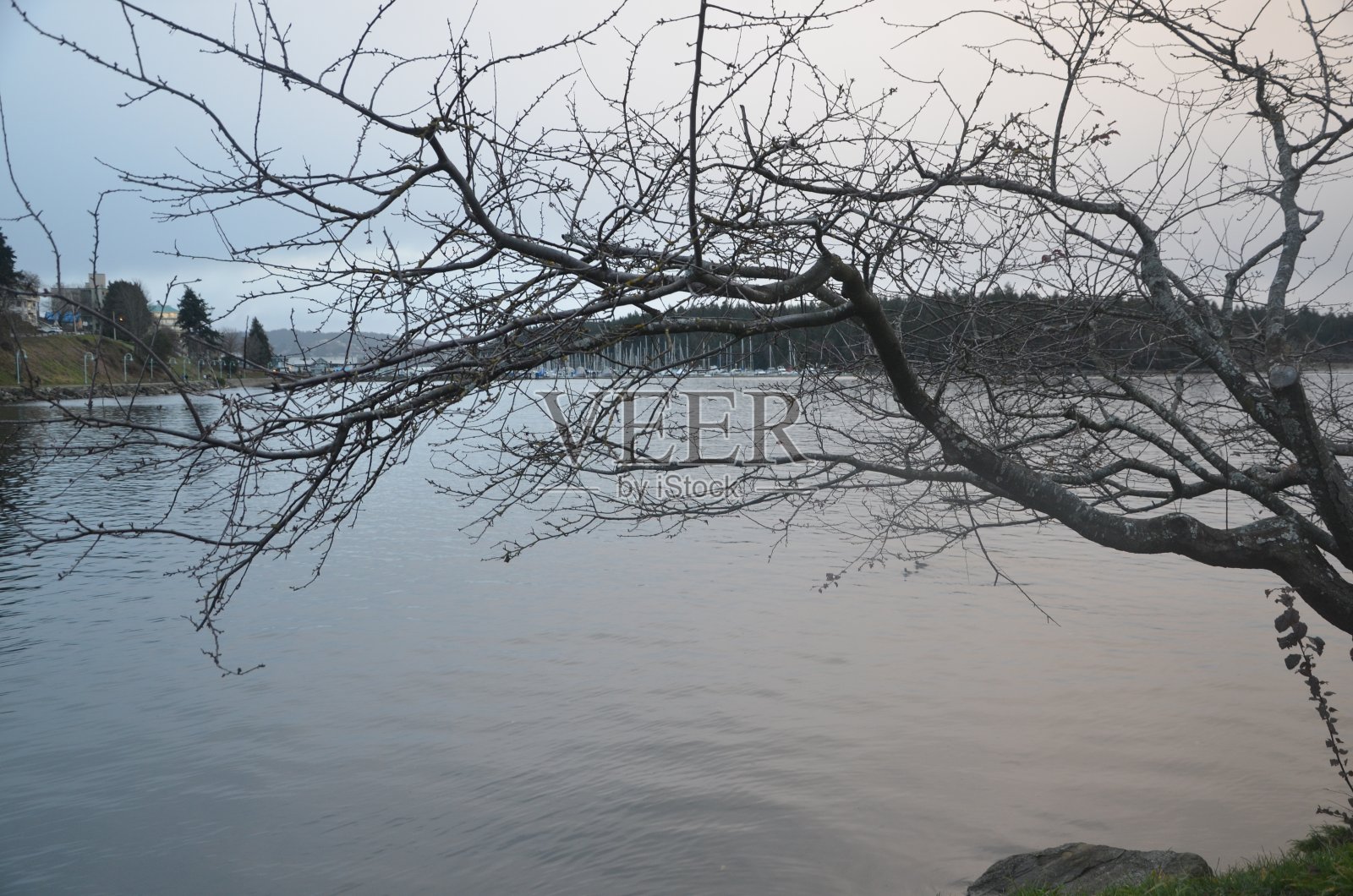 背景照片摄影图片