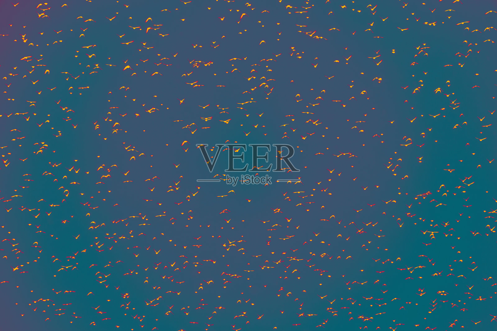 天空满是鸟儿照片摄影图片