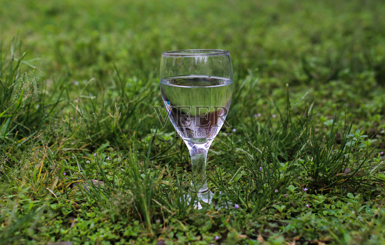 一杯新鲜的草里的水照片摄影图片